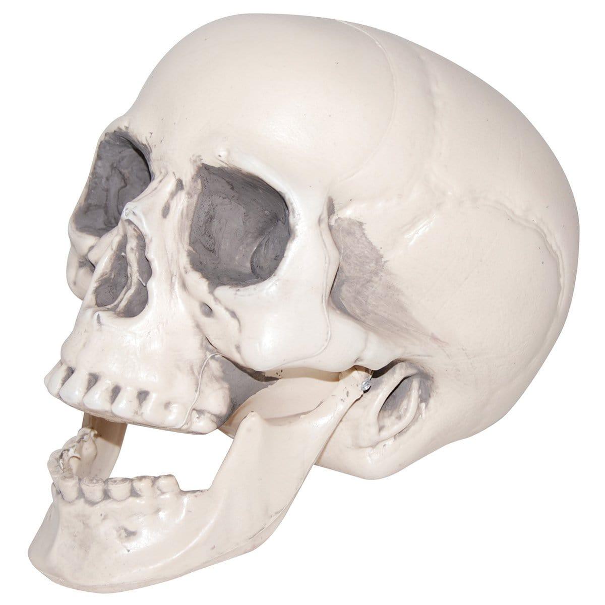 Realistic plastic skull, 6 inches